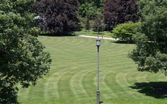 large green grass lawn with big trees surrounding it
